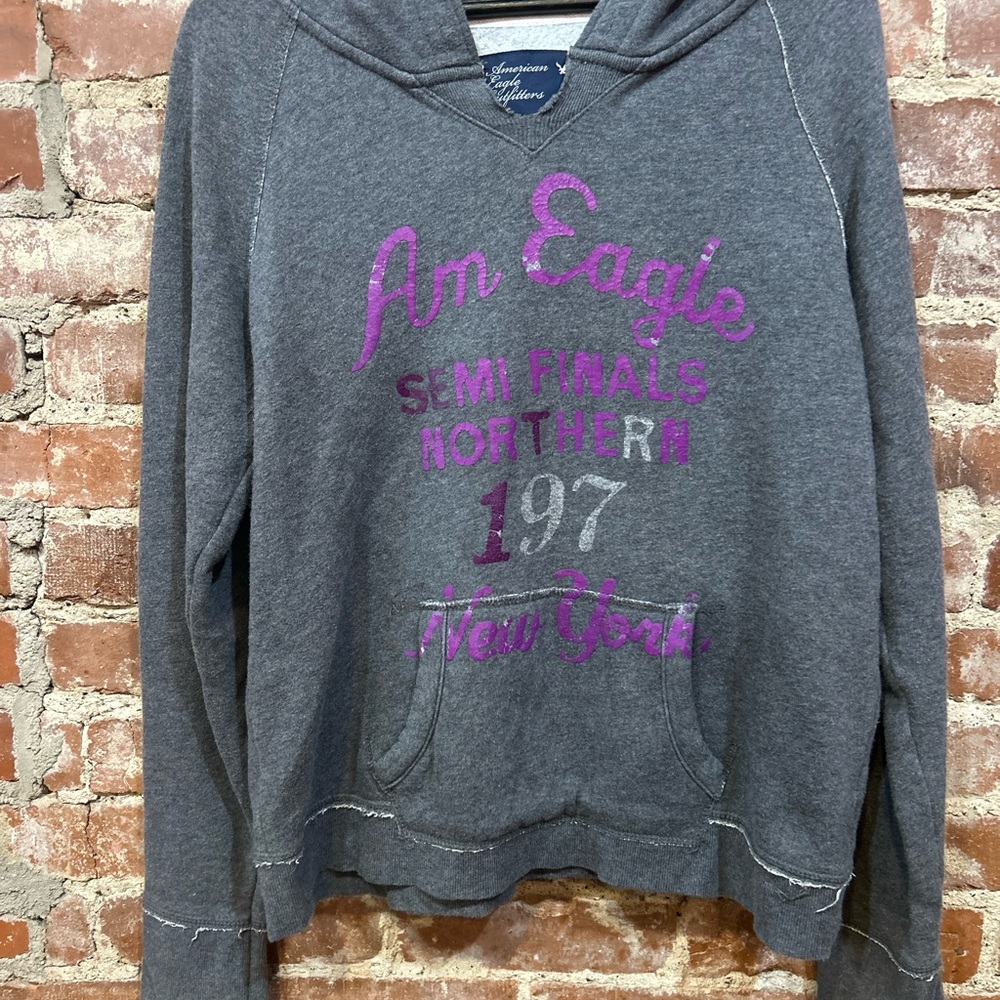 American Eagle Outfitters Charcoal Sweater with Purple Accents
